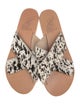Ancient Greek Sandals Ponyhair Animal Print Slides