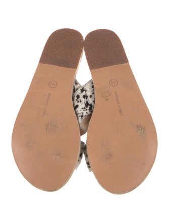 Ancient Greek Sandals Ponyhair Animal Print Slides