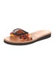 Ancient Greek Sandals PVC Slides