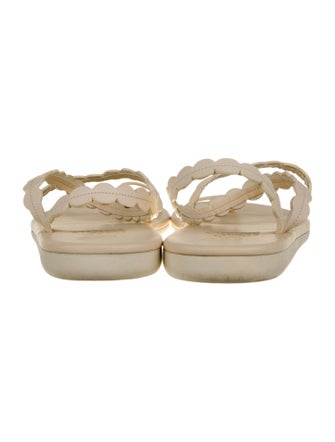Ancient Greek Sandals Leather Scalloped Accent Slides