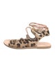 Ancient Greek Sandals Ponyhair Animal Print Gladiator Sandals