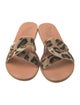 Ancient Greek Sandals Ponyhair Animal Print Slides