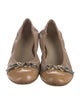 AGL Leather Ballet Flats