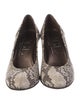 AGL Embossed Leather Animal Print Pumps