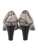 AGL Embossed Leather Animal Print Pumps