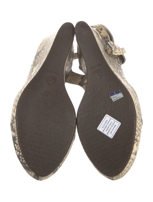 AGL Leather Animal Print Espadrilles