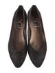 AGL Suede Glitter Accents Flats