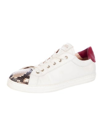 AGL Leather Printed Sneakers