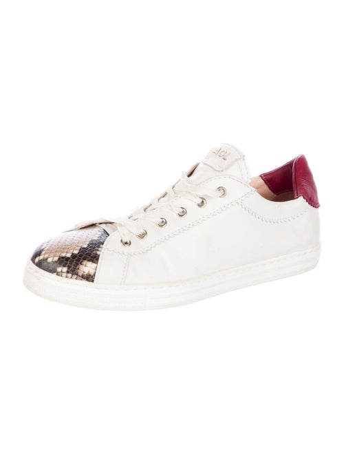 AGL Leather Printed Sneakers