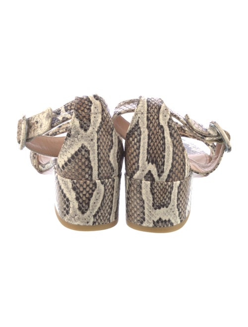 AGL Leather Animal Print Sandals