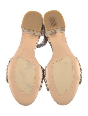 AGL Leather Animal Print Sandals