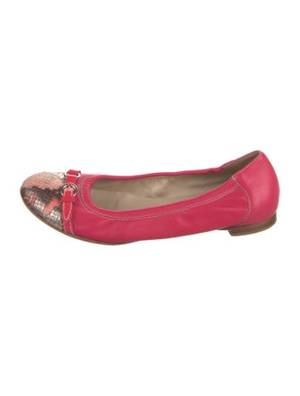 AGL Leather Animal Print Ballet Flats