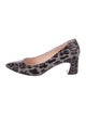 AGL Leather Printed Pumps