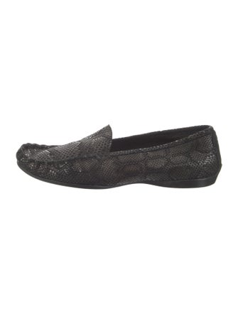 AGL Suede Glitter Accents Loafers