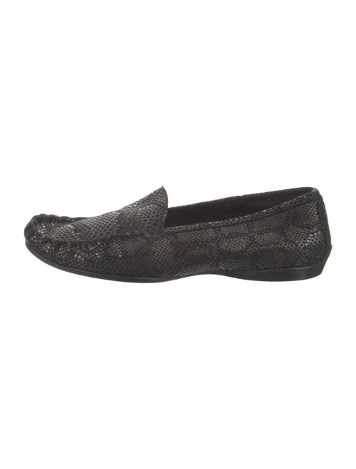 AGL Suede Glitter Accents Loafers