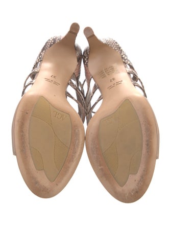 AGL Leather Animal Print T-Strap Sandals