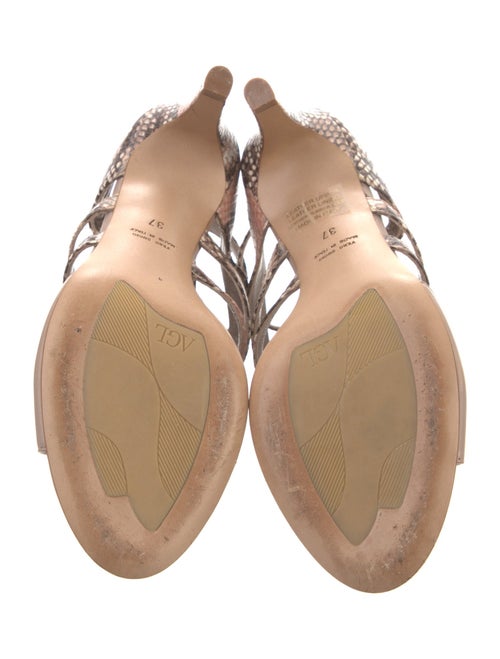 AGL Leather Animal Print T-Strap Sandals