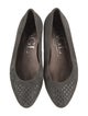 AGL Suede Studded Accents Ballet Flats