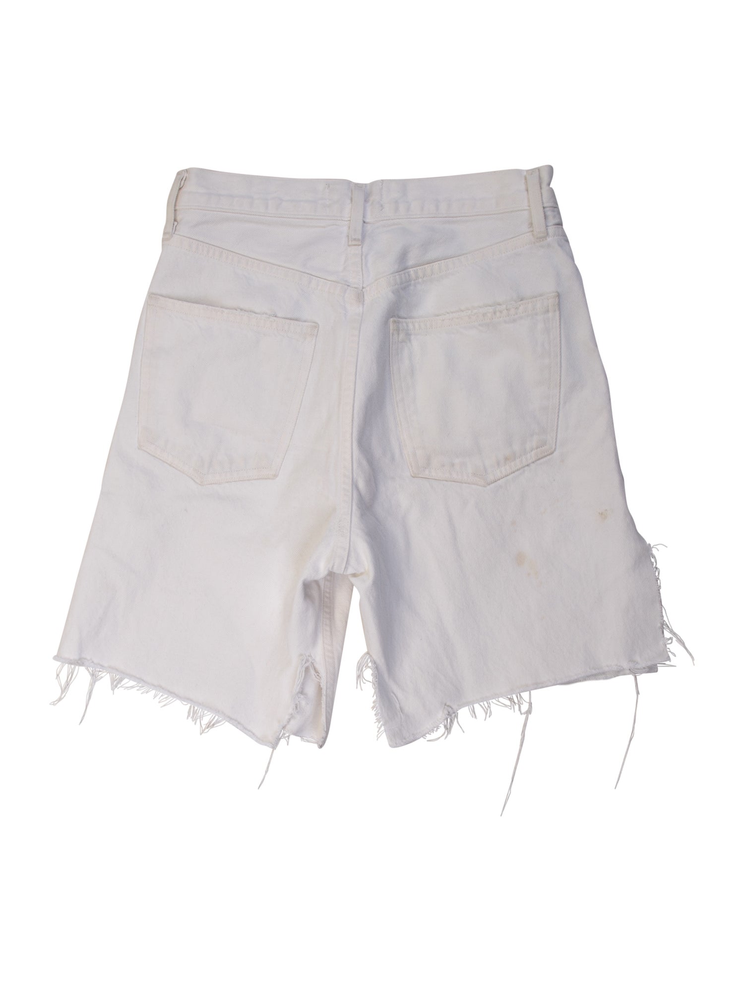AGOLDE Flat Front Shorts