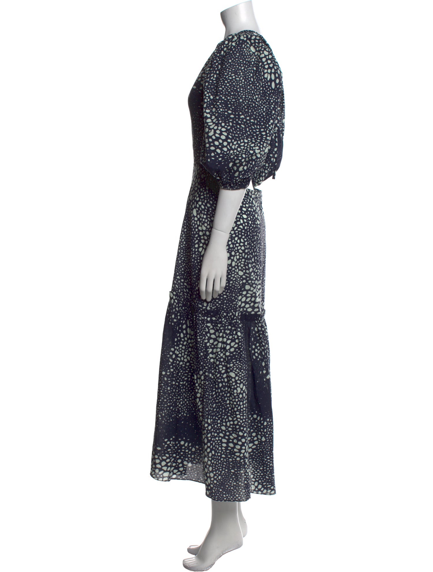 Adriana Degreas Printed Long Dress