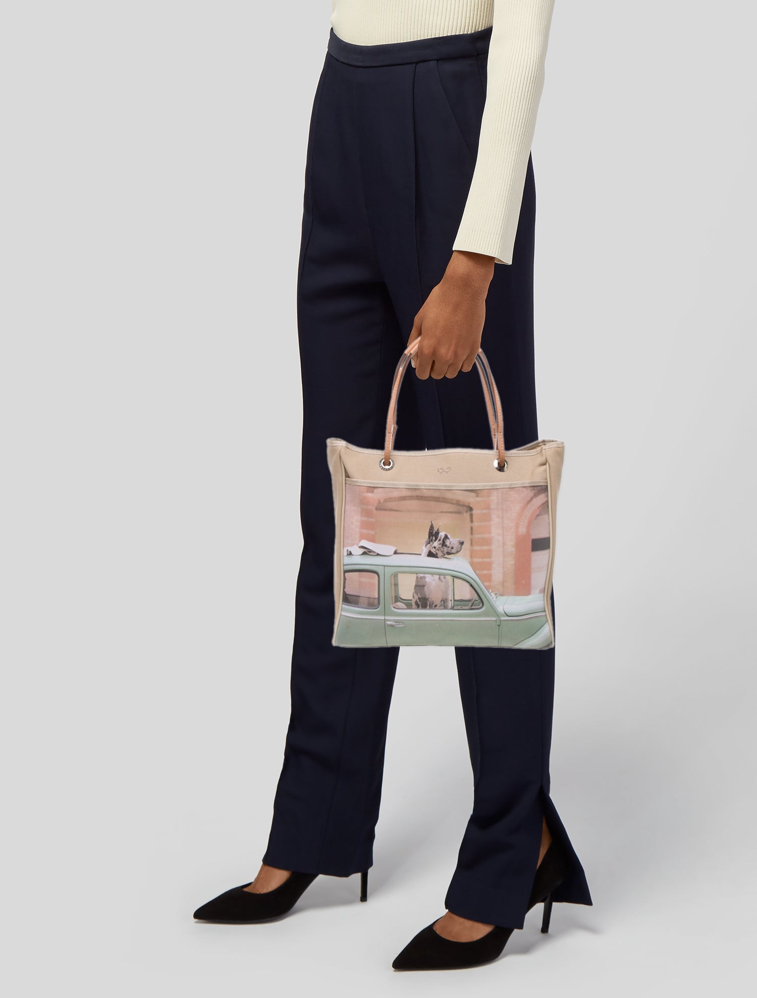 Anya Hindmarch Canvas Top Handle Bag