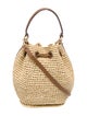 Anya Hindmarch Raffia Bucket Bag