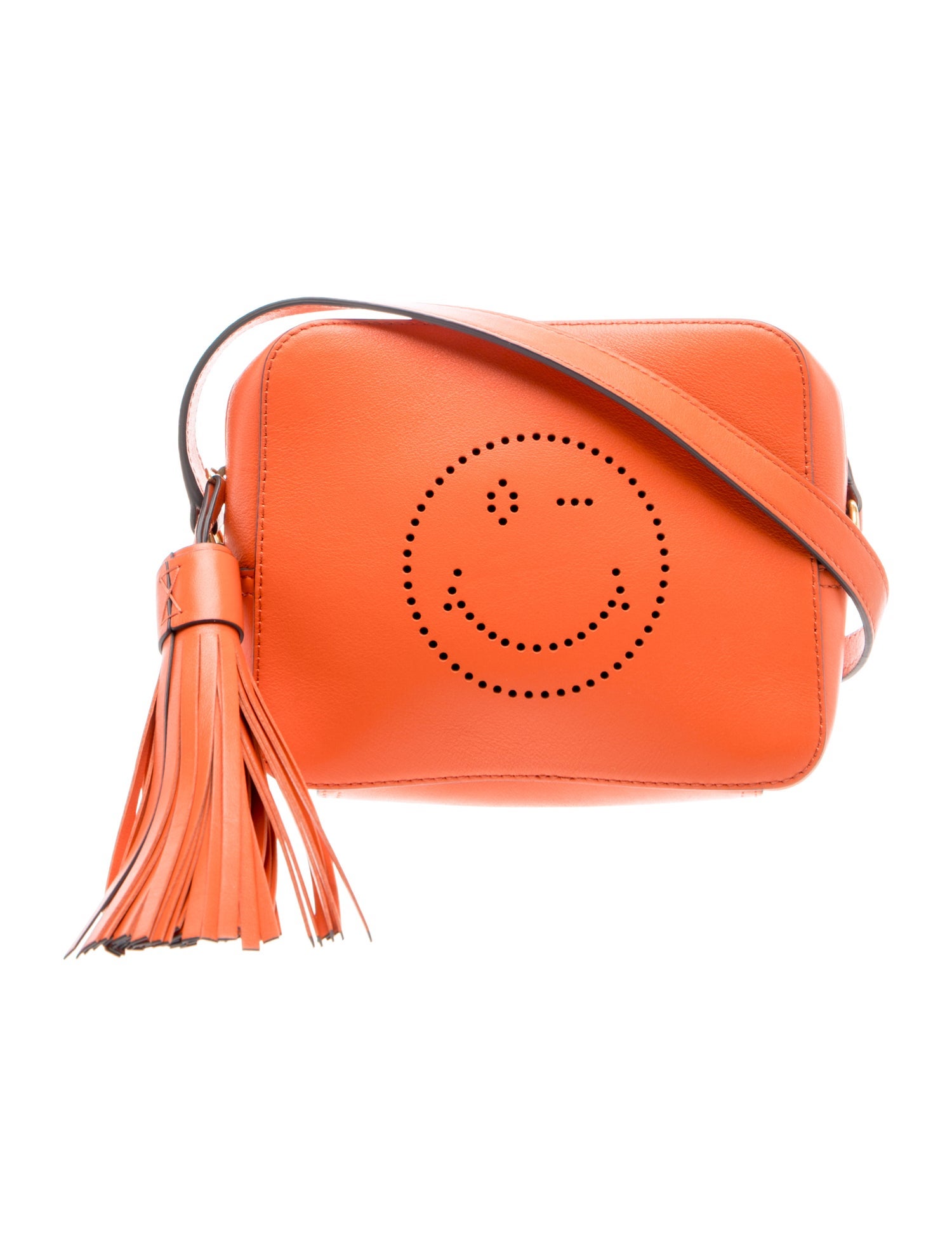 Anya Hindmarch Leather Crossbody Bag