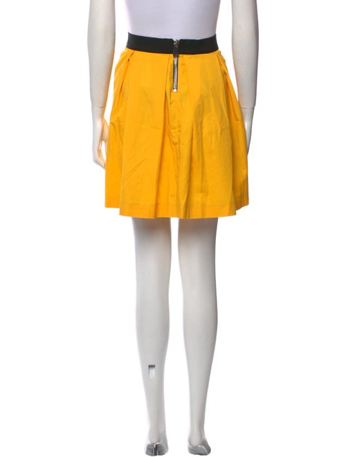 Ainea Pleated Accents Mini Skirt