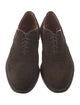 Alden Suede Brogues
