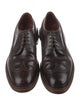 Alden Leather Lasercut Accents Brogues