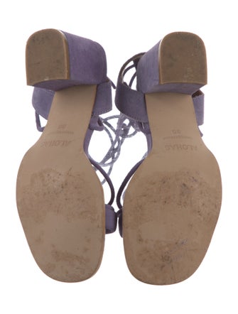 Alohas Suede Gladiator Sandals