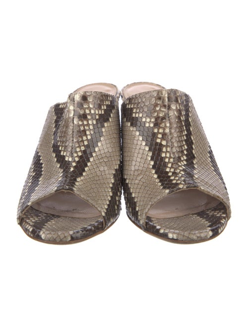 Ann Mashburn Python Printed Slides