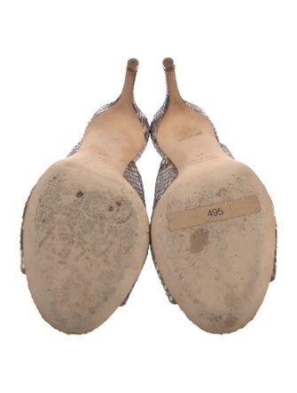 Ann Mashburn Python Printed Slides