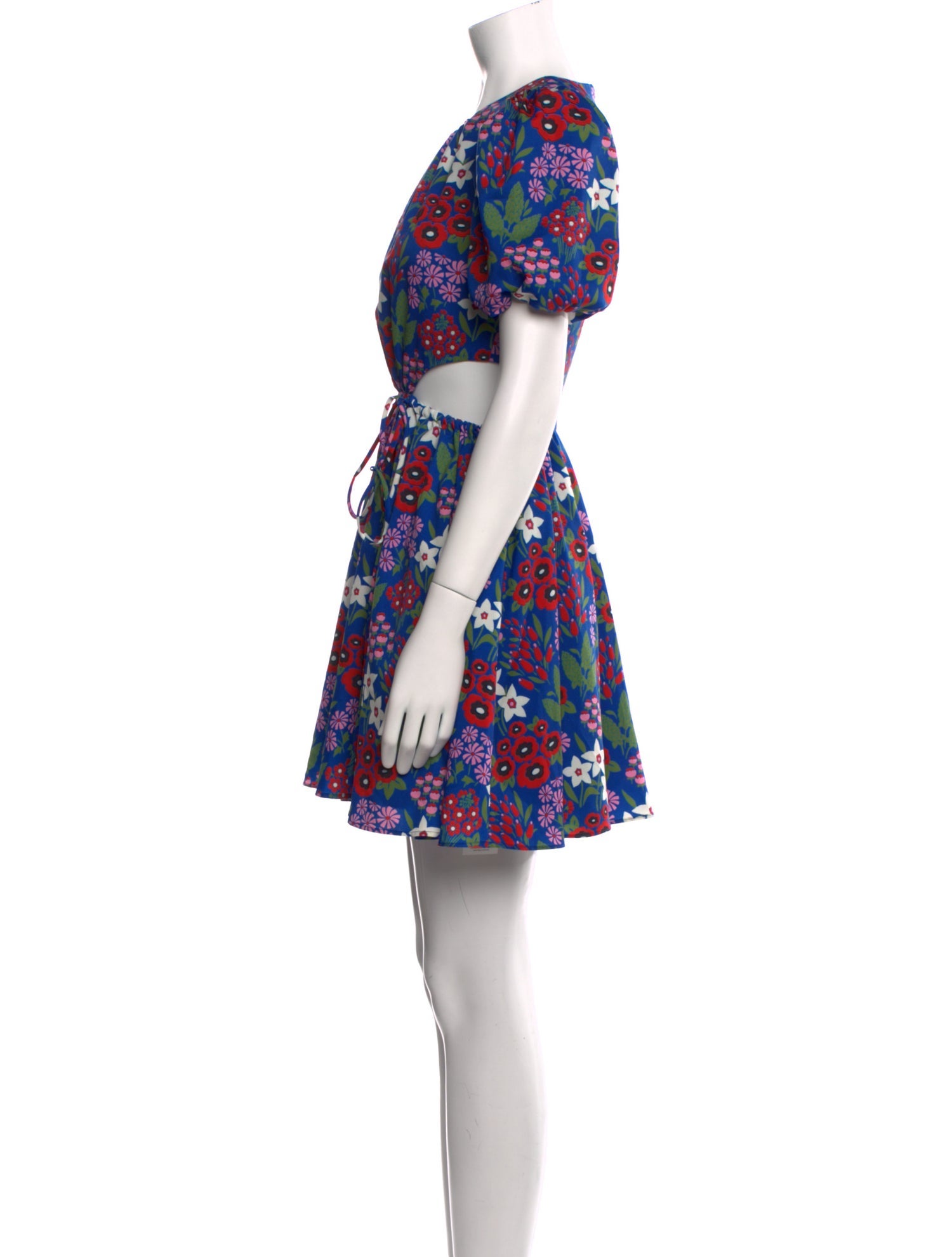 AMUR Floral Print Mini Dress