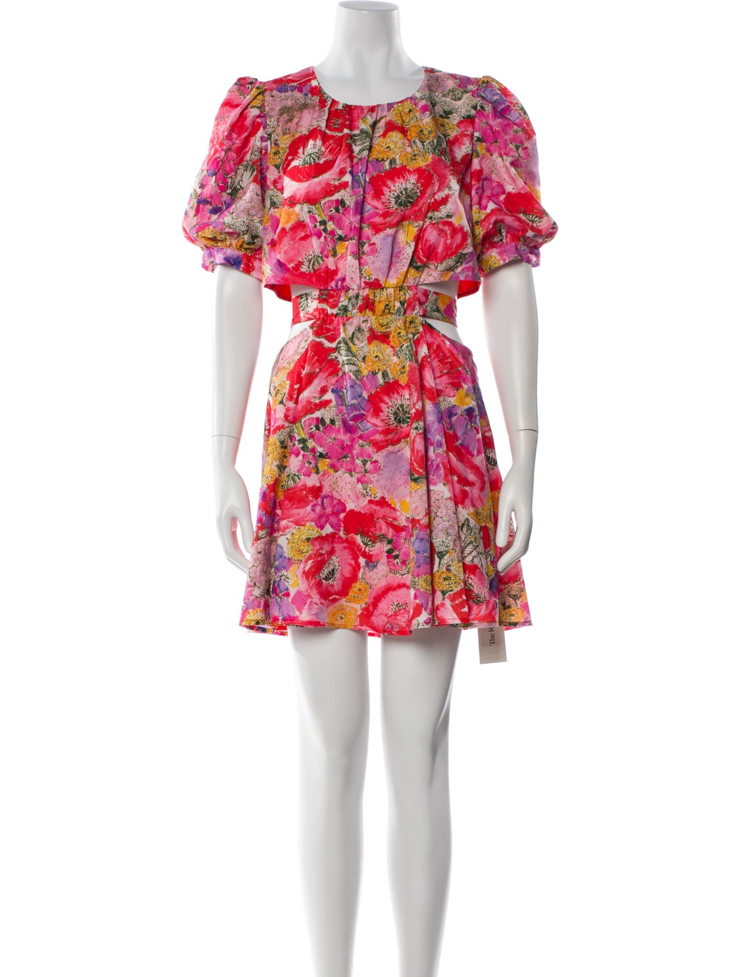 AMUR Floral Print Mini Dress