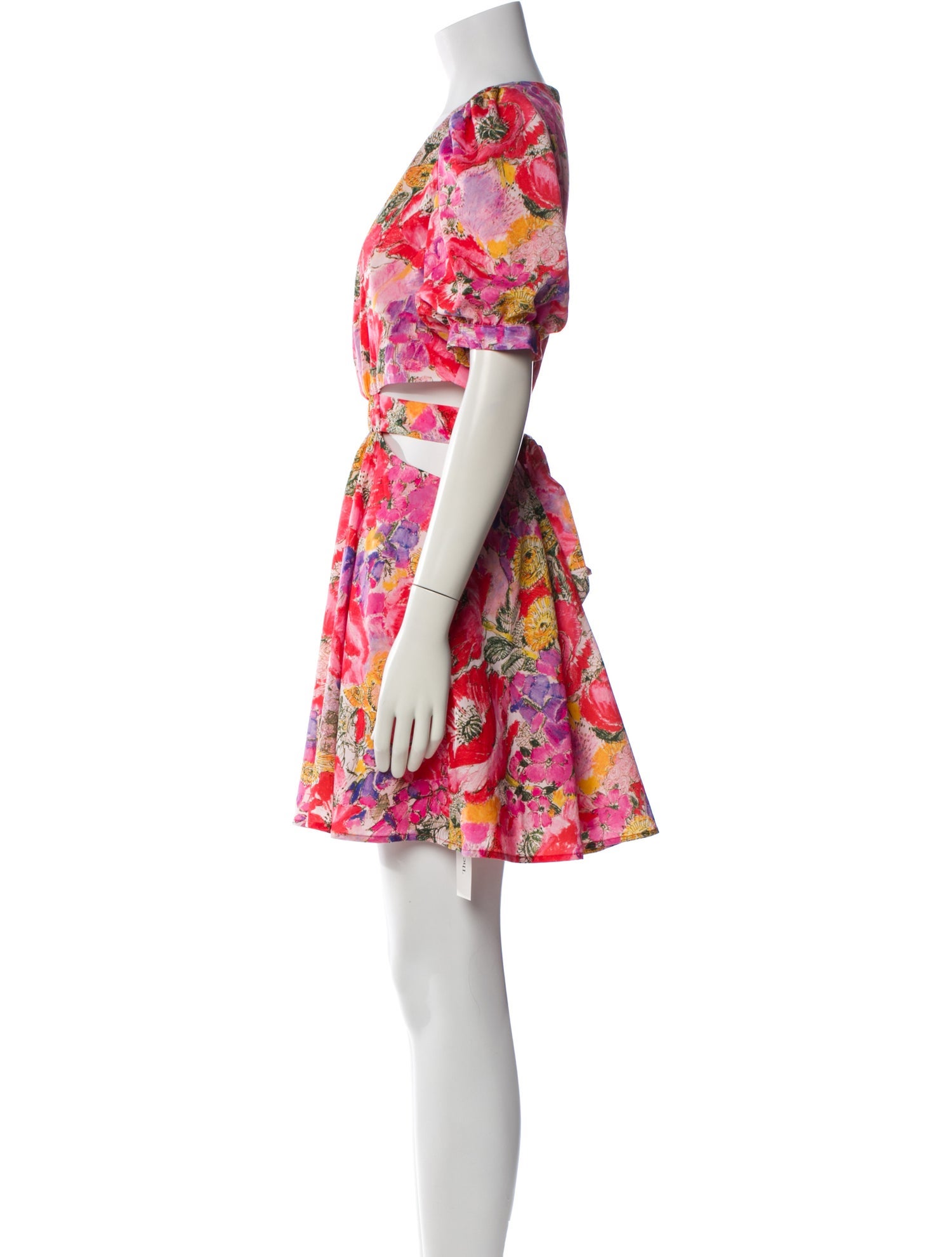 AMUR Floral Print Mini Dress