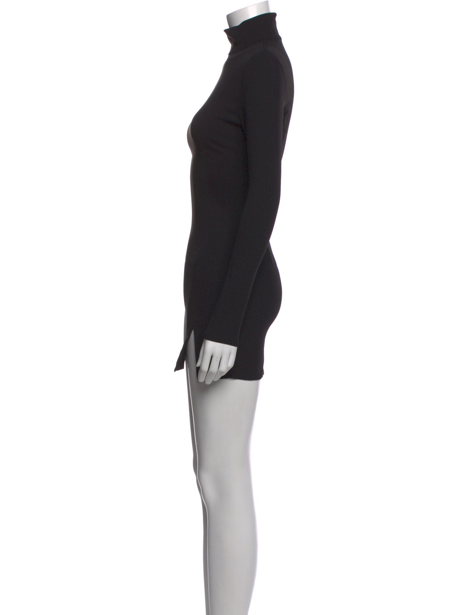 Aya Muse Turtleneck Mini Dress