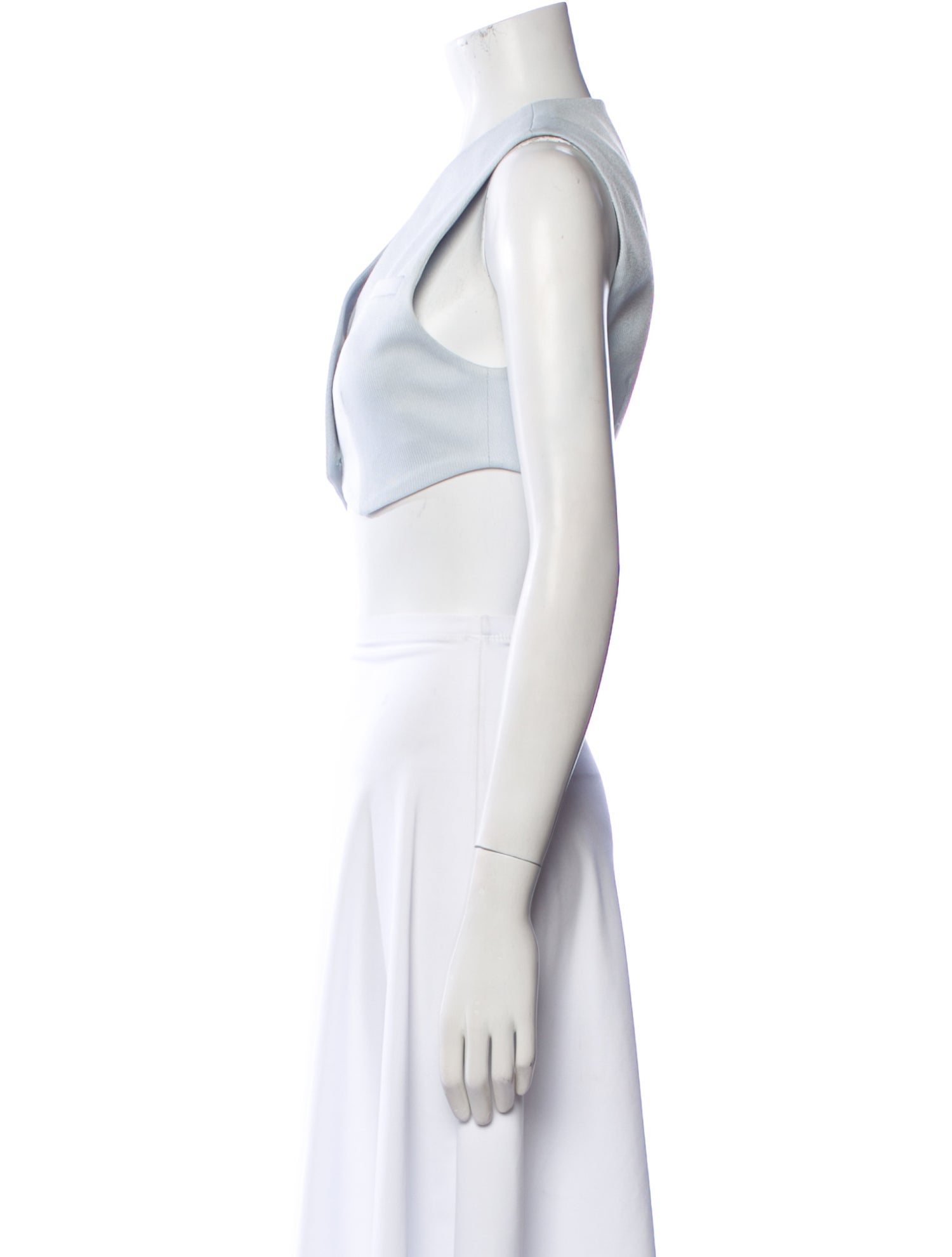 Aya Muse V-Neck Sleeveless Crop Top