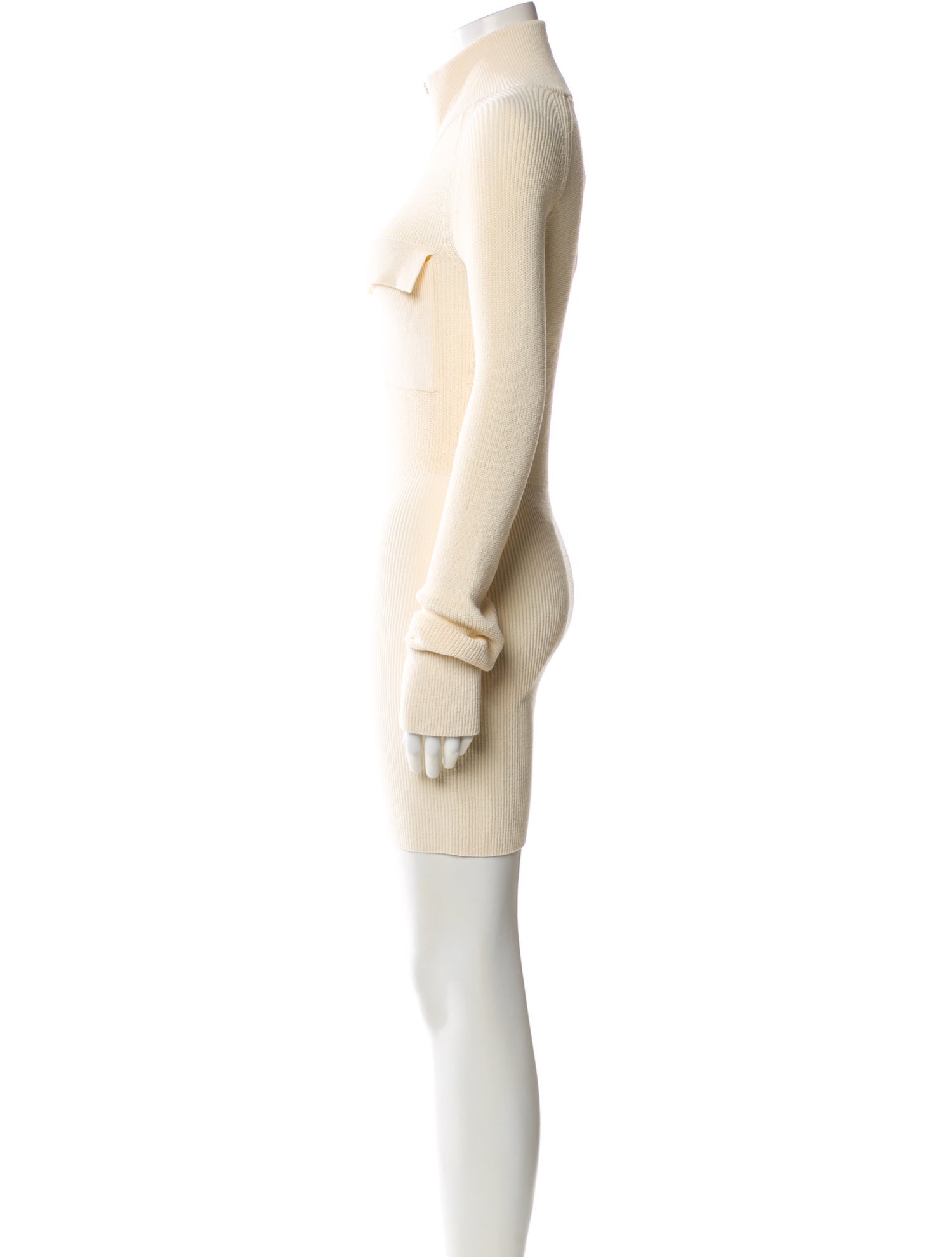 Aya Muse Turtleneck Mini Dress w/ Tags