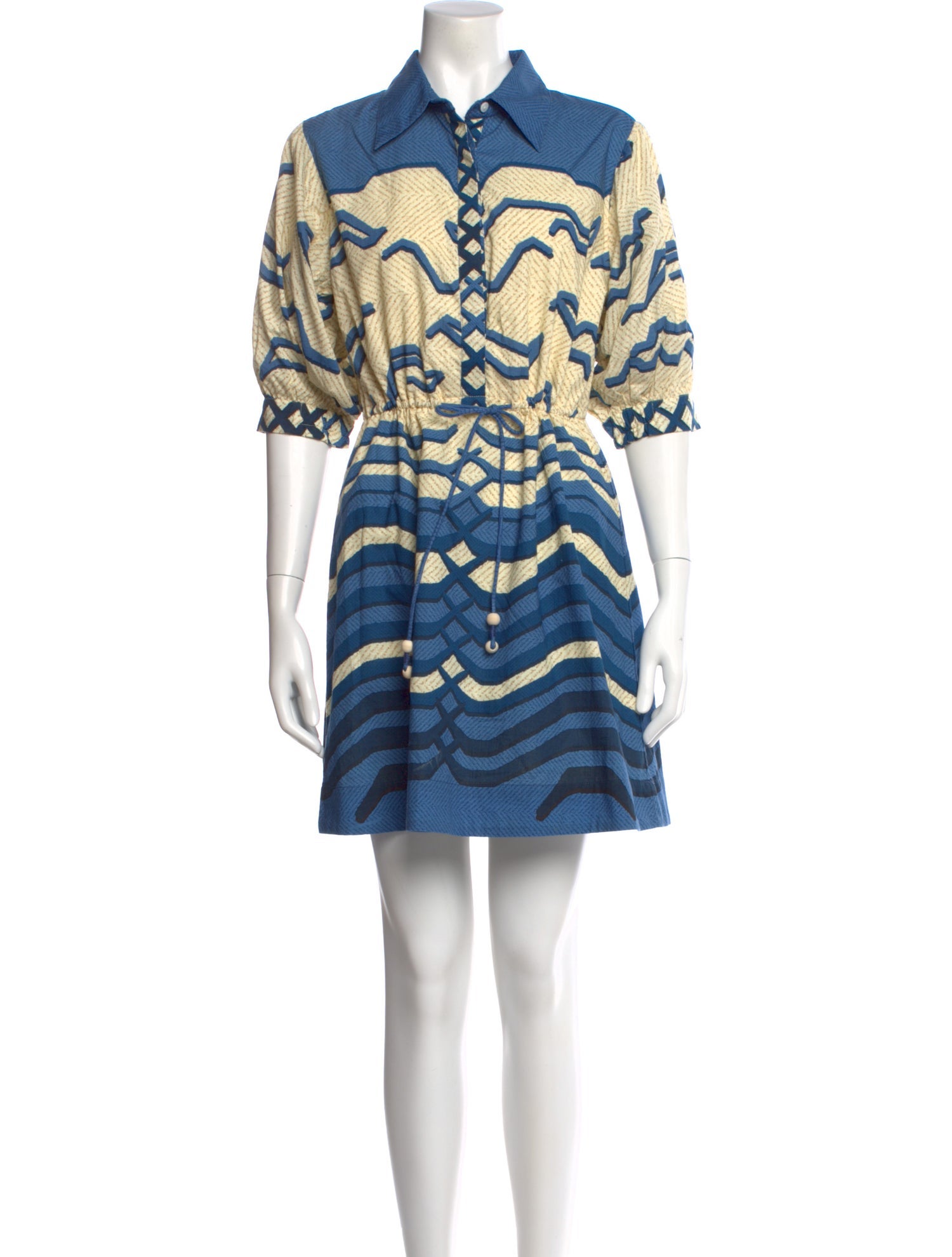 Anna Cate Printed Mini Dress