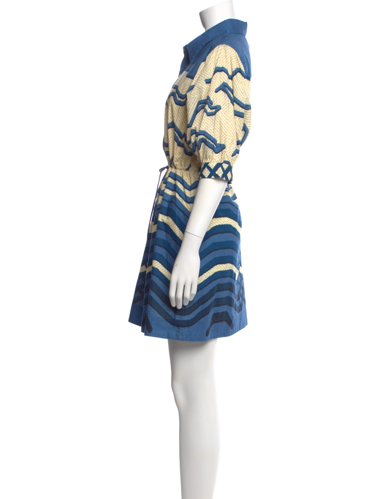 Anna Cate Printed Mini Dress