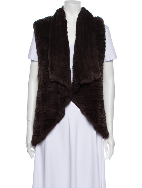 Alice + Olivia Vest Brown