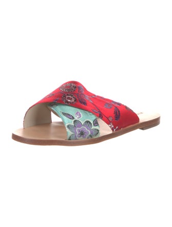 Alice + Olivia Printed Slides