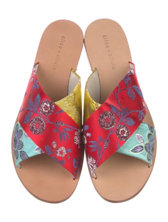 Alice + Olivia Printed Slides