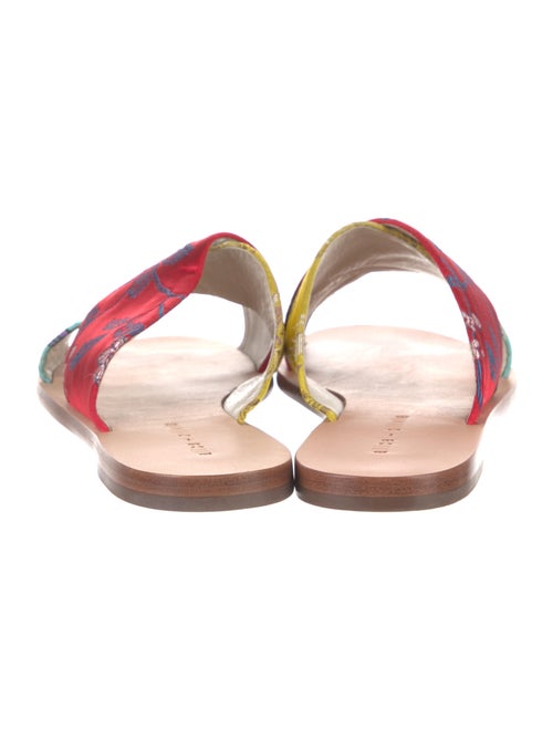 Alice + Olivia Printed Slides