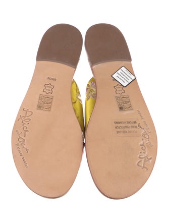 Alice + Olivia Printed Slides