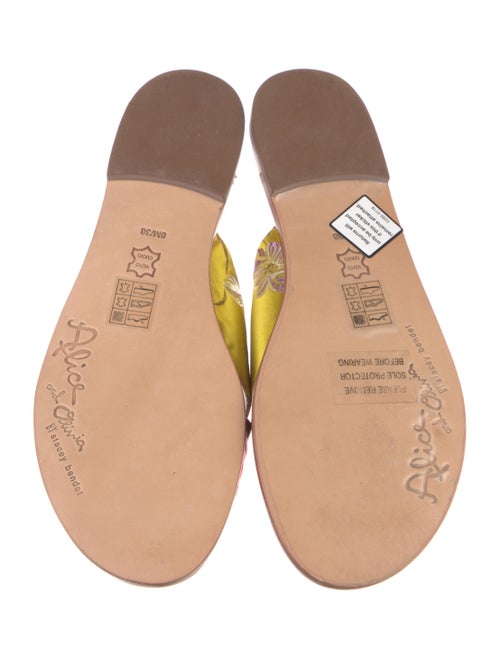 Alice + Olivia Printed Slides