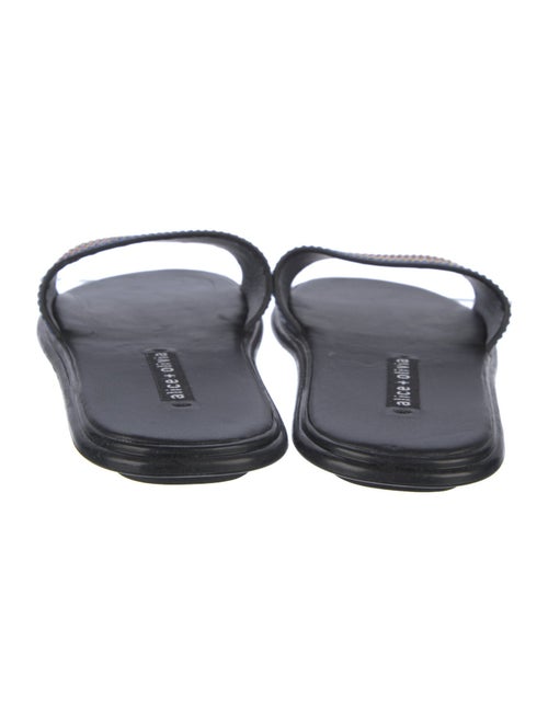 Alice + Olivia Leather Striped Slides