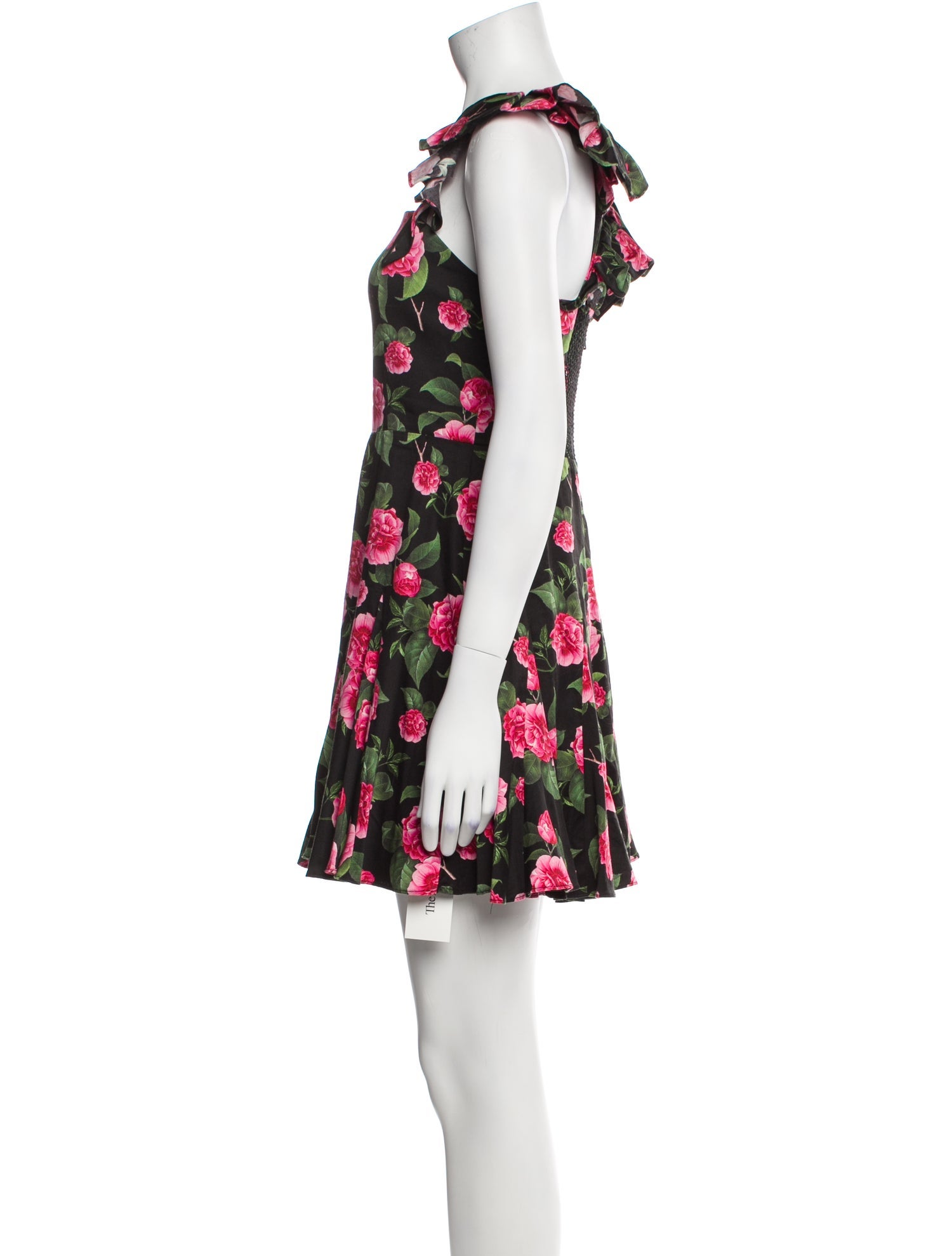 Alice + Olivia Floral Print Mini Dress