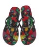 Alice + Olivia Leather Printed Flip Flops